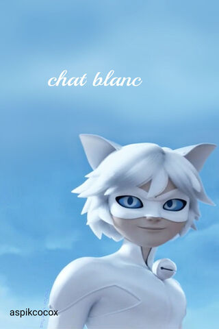 Chatblanc Xd3