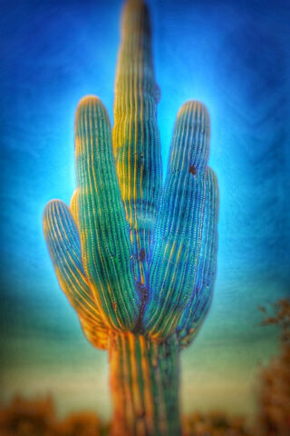Desert Sentinel: The Majestic Cactus 🌵✨