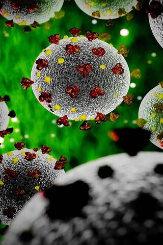 The Invisible Enemy: Understanding COVID-19