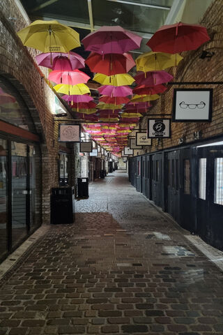 Camden's Colorful Canopy 🌈☂️