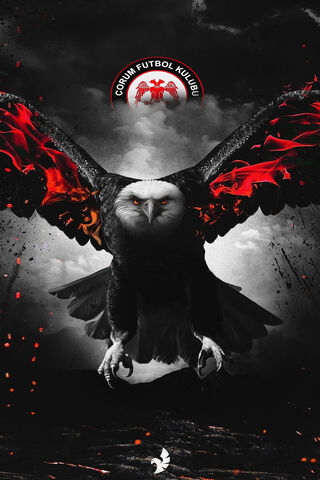 The Fierce Spirit of Çorumspor 🦅🔥