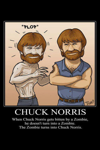 Chuck Norris