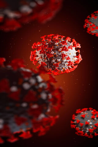 The Invisible Enemy: Understanding COVID-19 🦠