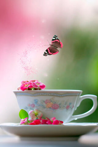 Whimsical Tea Time 🌸🦋