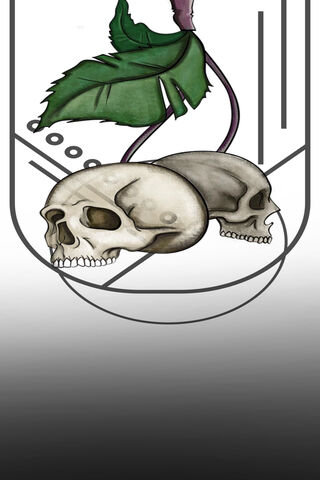 Cherry Skulls: A Dark Twist on Nature 🍒💀