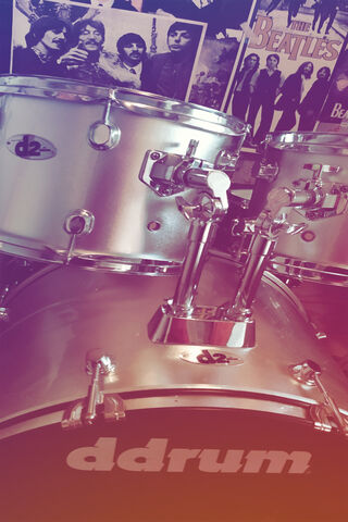 Rhythms of Rock: The Beat Goes On! 🥁✨