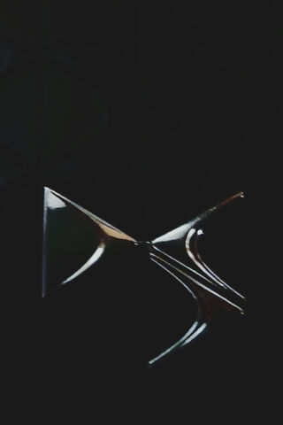 The Elegance of Ds: A Symbol of Luxury
