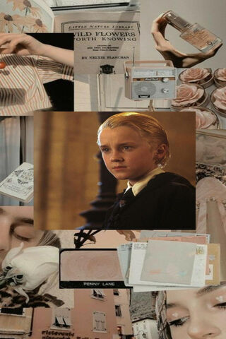 The Enigmatic World of Draco Malfoy 🌌✨