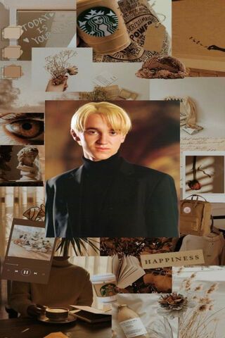 The Enigmatic Draco: A Blend of Elegance and Mystery ✨