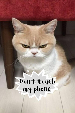 Dont Touch My Phone