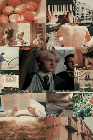 The Enigmatic World of Draco Malfoy 🌌✨