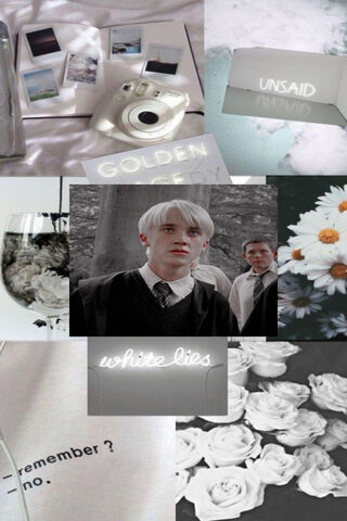 The Enigmatic World of Draco Malfoy 🌌✨