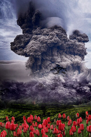 Nature's Fury: The Beauty and the Blast 🌋🌷