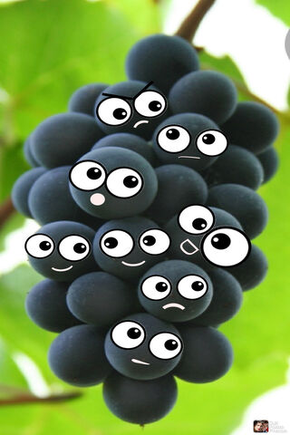 Grape Expectations: A Fun Bunch! 🍇😄