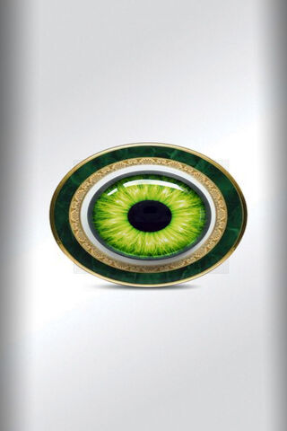 EyePhone: A Glimpse into the Future of Vision