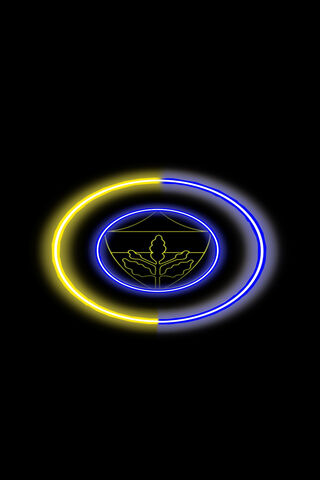 Fenerbahçe: A Beacon of..