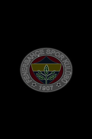 Fenerbahçe: A Legacy of Passion and Pride ⚽️💛💙
