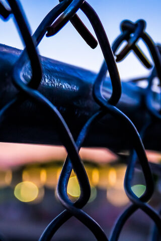 Behind the Barrier: A Glimpse Through the Fence