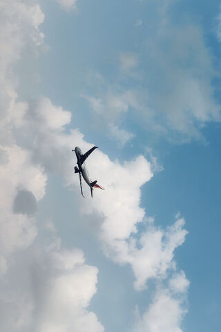 Flight