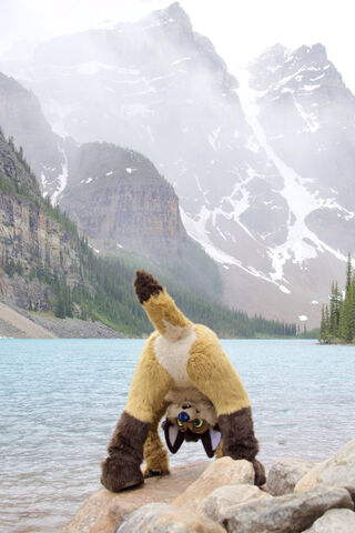 Fursuit Fun at the Lake! 🐾🏞️
