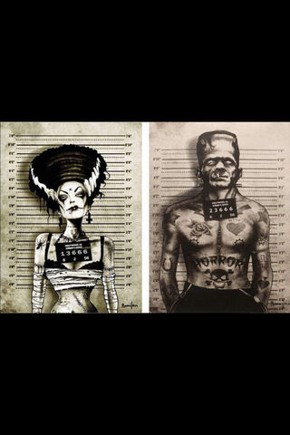 Mugshots of the Monstrous: A Modern Take on Frankenstein