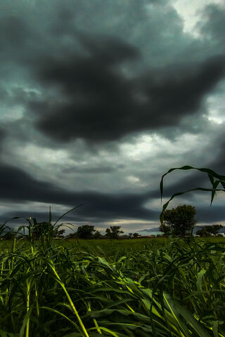 Whispers of the Farmhouse: Nature's Canvas 🌾🌥️