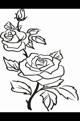 Flor: The Timeless Beauty of Roses 🌹