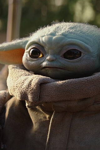 The Adorable Mystery of Grogu 🐾✨