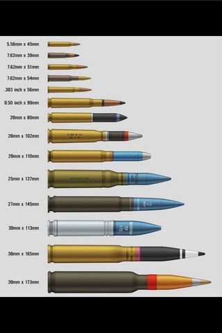 A Closer Look at Ammuni..
