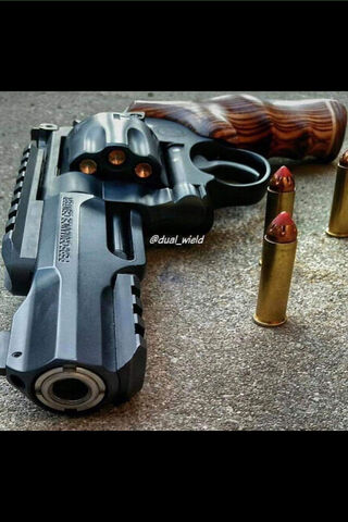 Power in Your Hands: The Art of Firearms