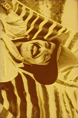 Golden Laughter: The Joyful Bandit