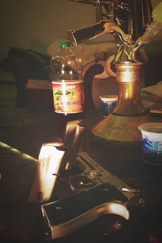 A Glimpse into the Shadows: The World of Firearms