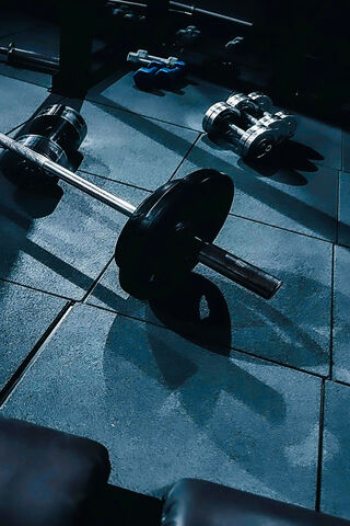Strength in Motion: The Heart of the Gym 💪