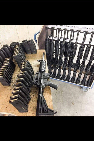Armory Essentials: The Power of Precision 🔫