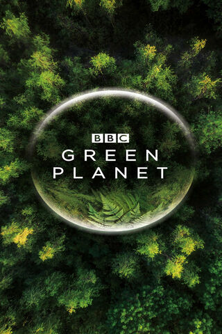 Exploring the Wonders of Our Green Planet 🌍🌿