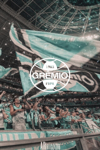 Gremio: A Sea of Passion in the Stadium 🌊⚽