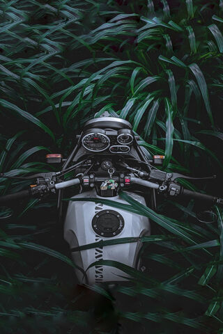 Lost in the Green: Himalayan Adventure 2020 🌿🏍️