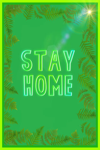 Cozy Vibes: Embrace Home