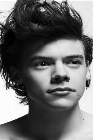 The Charismatic Star: A Glimpse of Harry Styles