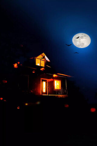 Moonlit Mystery: The Enigmatic Haunted House 🌕🏚️