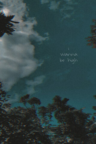 Reaching for the Sky 🌤️✨