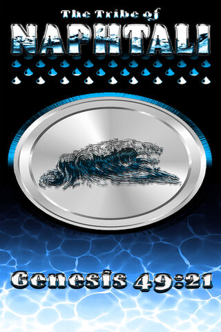 Chill Vibes: Iced Coffee Delight ☕❄️