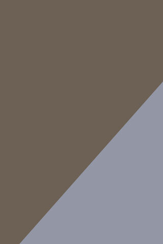 The Color Contrast: A Study in Shades