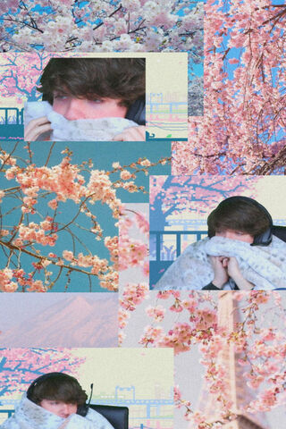 Cozy Vibes with Karl Jacobs 🌸✨