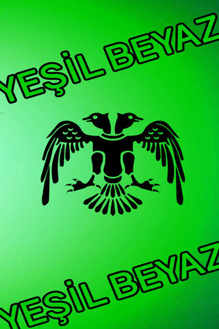 Konyaspor: The Spirit of Green and White ⚽️💚