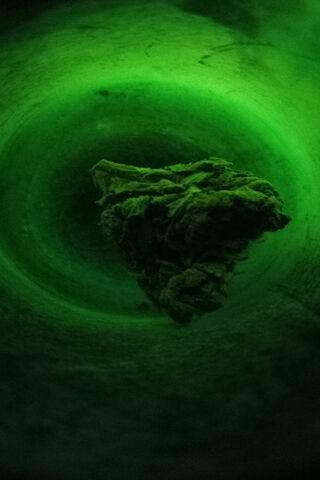 Emerald Dreams: The Allure of Kush Bud 🌿✨