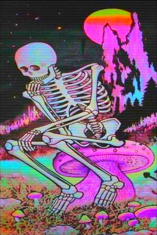 Lsdboio: A Psychedelic Skeleton's Dream 🌌💀🍄