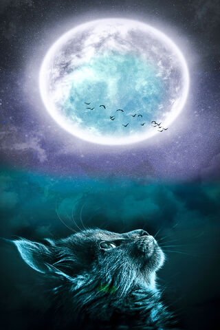 Dreaming Under the Moonlight 🌙✨
