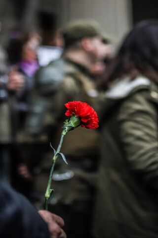A Symbol of Resistance: The Red Carnation