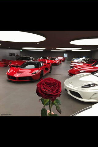 Elegance on Wheels: A Floral Tribute to Luxury